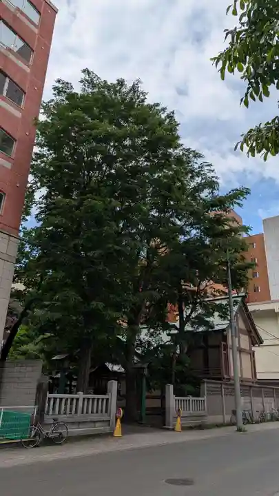 三吉神社の自然