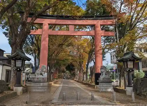 武蔵一宮氷川神社の鳥居