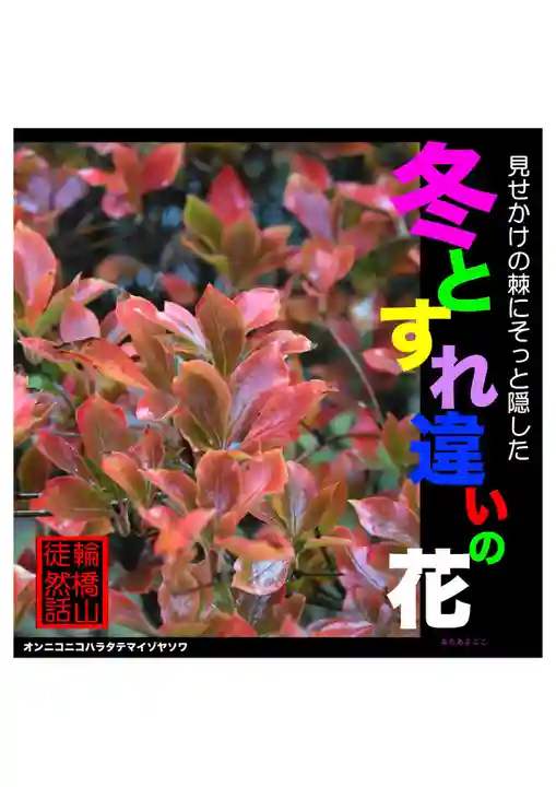 耕田院(山形県)