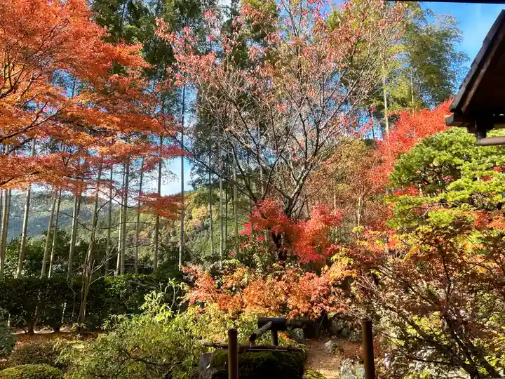 宝泉院(京都府)
