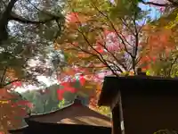 普門寺(切り絵御朱印発祥の寺)のその他建物