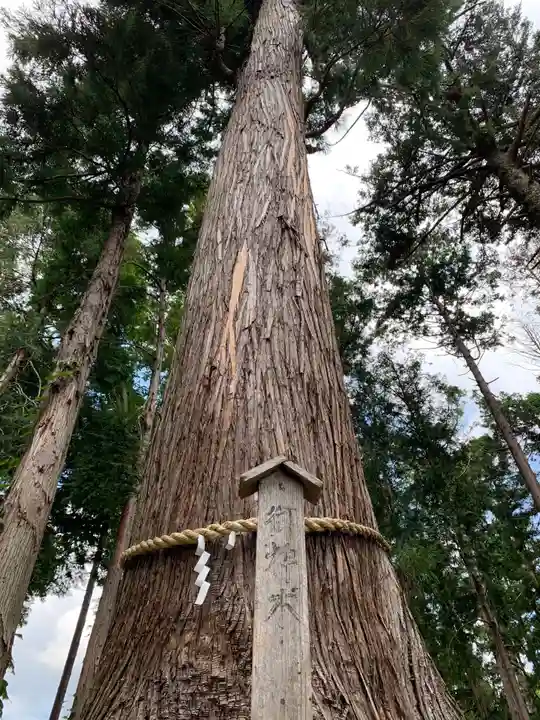 羽雄神社の自然