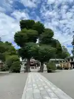 亀ケ池八幡宮のその他建物