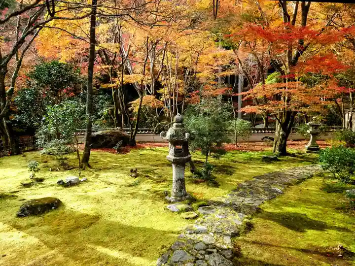 高山寺(京都府)