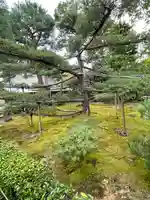 大仙院(京都府)