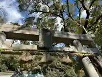 垂水神社の{uncategorized: "未分類", other: "その他", undefined: "問題あり", building: "その他建物", grave: "お墓", sacred_gate: "鳥居", guardian: "狛犬", statue: "像", buddha: "仏像", history: "歴史", nature: "自然", garden: "庭園", animal: "動物", pagoda: "塔", temizu: "手水舎", mountain_gate: "山門・神門", sanctuary: "本殿・本堂", subordinate: "末社・摂社", art: "芸術", scenery: "景色", jizo: "地蔵", ema: "絵馬", goshuin: "御朱印", omikuji: "おみくじ", items: "授与品その他", amulet: "お守り", goshuincho: "御朱印帳", eats: "食事", festival: "お祭り", votive_dance: "神楽", shichigosan: "七五三参", wedding: "結婚式", experience: "体験その他", initially: "初詣", around: "周辺", anti_infection: "感染症対策"}