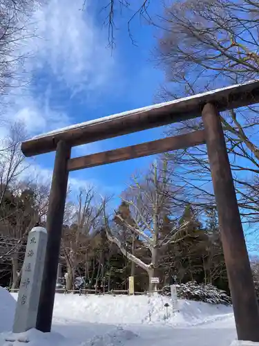 北海道神宮の鳥居