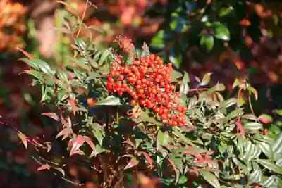 阿久津「田村神社」（郡山市阿久津町）旧社名：伊豆箱根三嶋三社の庭園