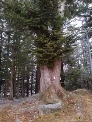 八雲神社（筆甫）(宮城県)