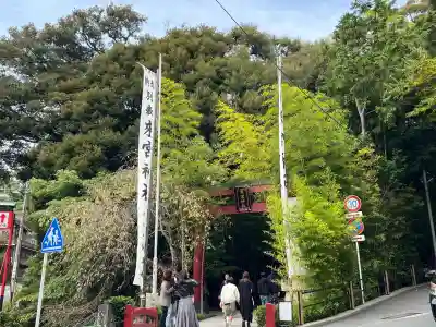 來宮神社(静岡県)