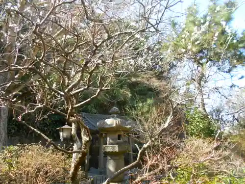 安國論寺（安国論寺）の庭園