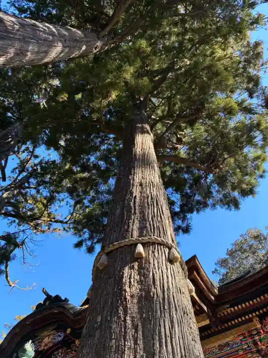 三峯神社(埼玉県)