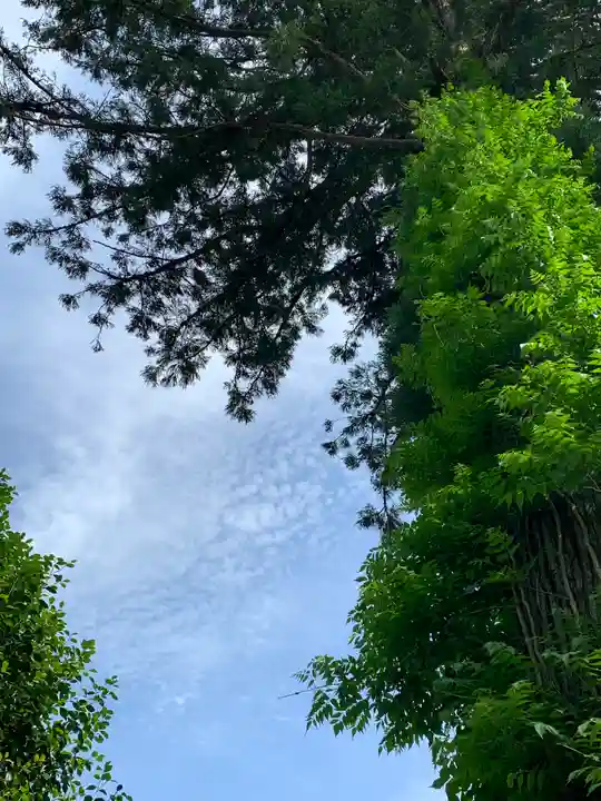 常鑑寺(群馬県)