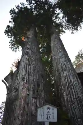 榛名神社のその他建物
