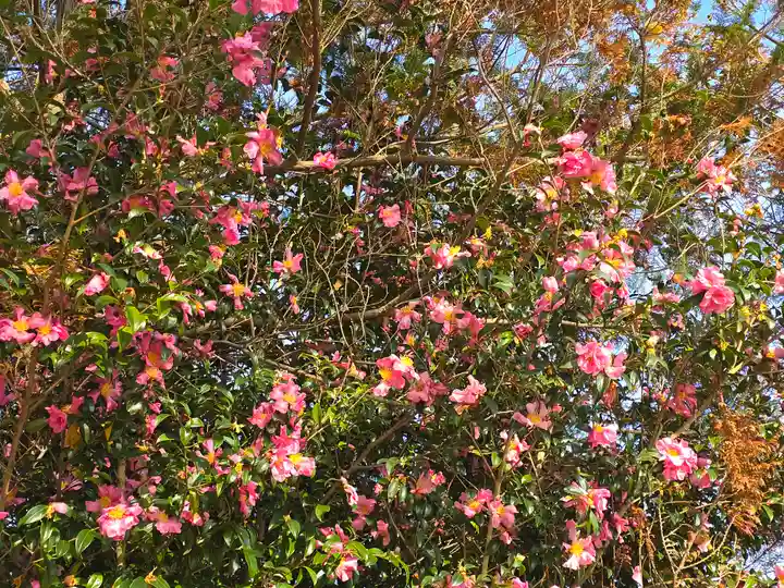 重利八幡宮(京都府)