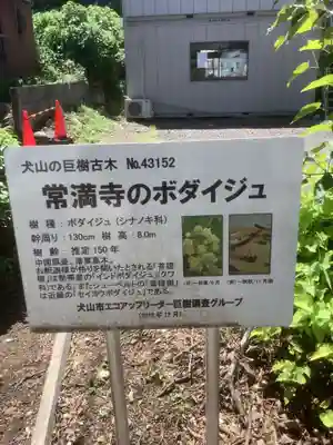 常満寺(愛知県)