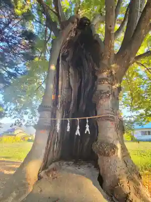 東福寺神社の自然