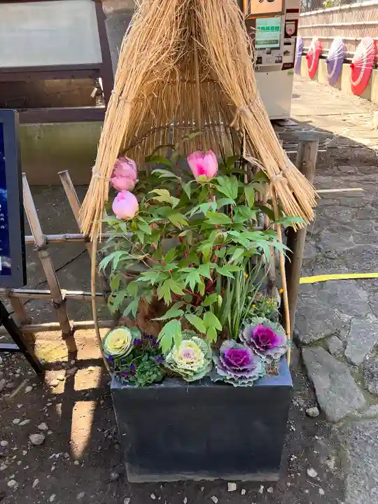 上野東照宮の自然