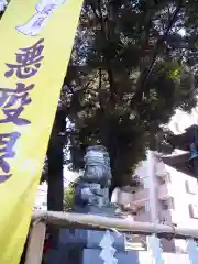 浅間神社の狛犬