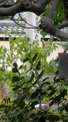 法華長講弥陀三昧堂（長講堂）(京都府)