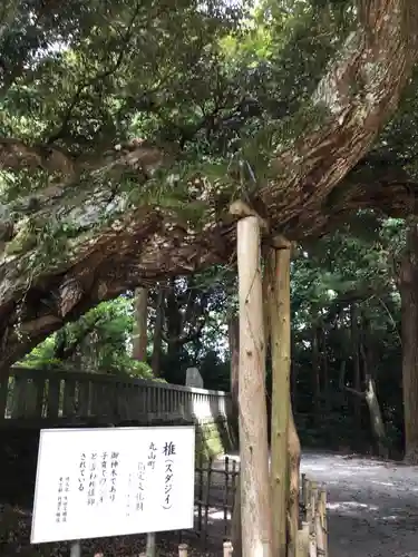 莫越山神社の庭園