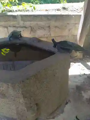 亀岡神社の手水舎