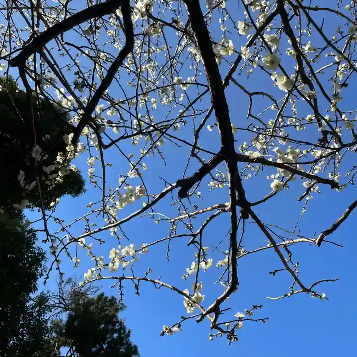 大國魂神社(東京都)