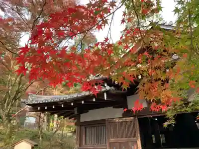 園城寺（三井寺）のその他建物