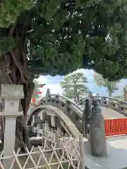 鶴岡八幡宮(神奈川県)