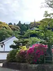 當麻寺(奈良県)