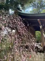 武蔵一宮氷川神社(埼玉県)