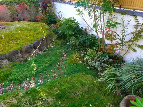 寿量山　速成寺(奈良県)