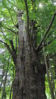 王子神社(東京都)