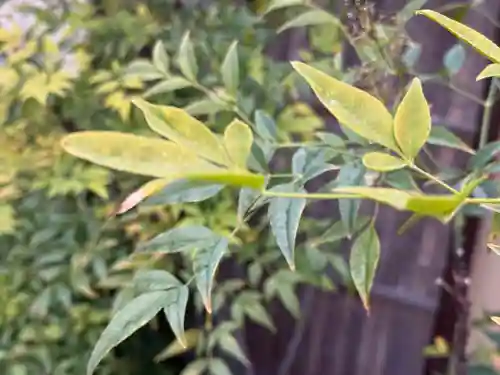西方山極楽寺(岐阜県)