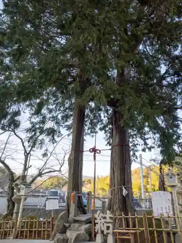 武雄神社の{uncategorized: "未分類", other: "その他", undefined: "問題あり", building: "その他建物", grave: "お墓", sacred_gate: "鳥居", guardian: "狛犬", statue: "像", buddha: "仏像", history: "歴史", nature: "自然", garden: "庭園", animal: "動物", pagoda: "塔", temizu: "手水舎", mountain_gate: "山門・神門", sanctuary: "本殿・本堂", subordinate: "末社・摂社", art: "芸術", scenery: "景色", jizo: "地蔵", ema: "絵馬", goshuin: "御朱印", omikuji: "おみくじ", items: "授与品その他", amulet: "お守り", goshuincho: "御朱印帳", eats: "食事", festival: "お祭り", votive_dance: "神楽", shichigosan: "七五三参", wedding: "結婚式", experience: "体験その他", initially: "初詣", around: "周辺", anti_infection: "感染症対策"}