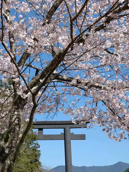熊野本宮大社の{uncategorized: "未分類", other: "その他", undefined: "問題あり", building: "その他建物", grave: "お墓", sacred_gate: "鳥居", guardian: "狛犬", statue: "像", buddha: "仏像", history: "歴史", nature: "自然", garden: "庭園", animal: "動物", pagoda: "塔", temizu: "手水舎", mountain_gate: "山門・神門", sanctuary: "本殿・本堂", subordinate: "末社・摂社", art: "芸術", scenery: "景色", jizo: "地蔵", ema: "絵馬", goshuin: "御朱印", omikuji: "おみくじ", items: "授与品その他", amulet: "お守り", goshuincho: "御朱印帳", eats: "食事", festival: "お祭り", votive_dance: "神楽", shichigosan: "七五三参", wedding: "結婚式", experience: "体験その他", initially: "初詣", around: "周辺", anti_infection: "感染症対策"}