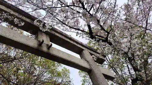 安井金比羅宮(京都府)