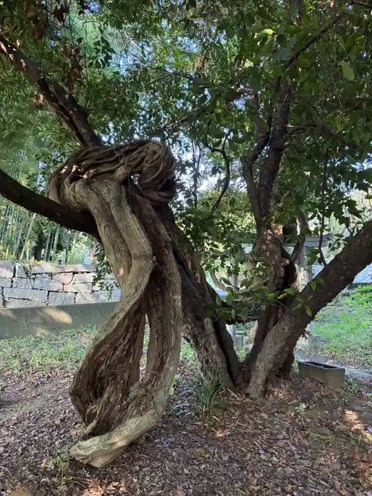 厳島神社(片葉の弁天)(千葉県)