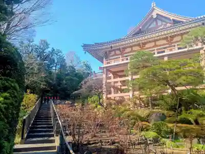 東長谷寺　薬王院(東京都)