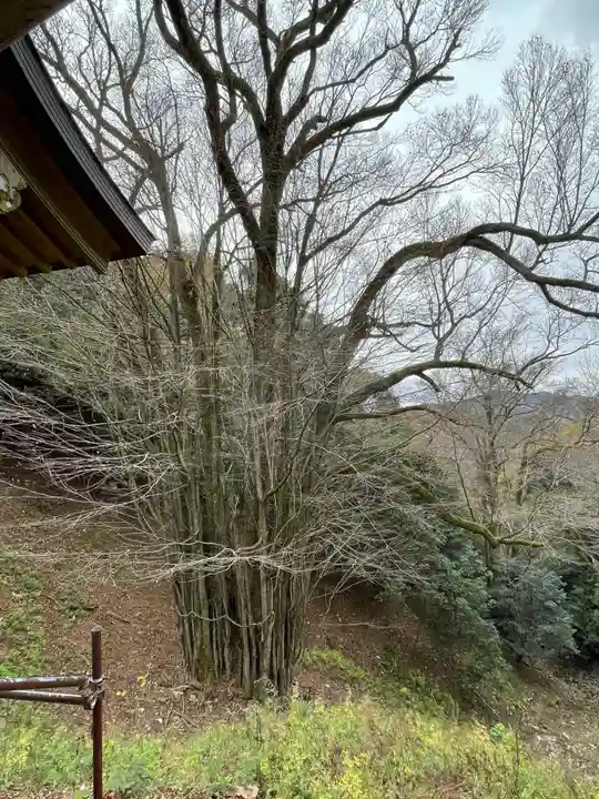 正法寺(滋賀県)