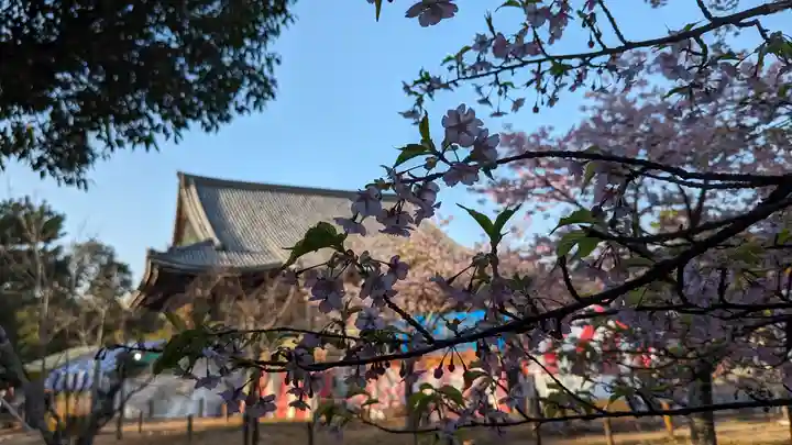 清凉寺(京都府)