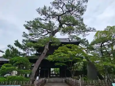 泉岳寺(東京都)