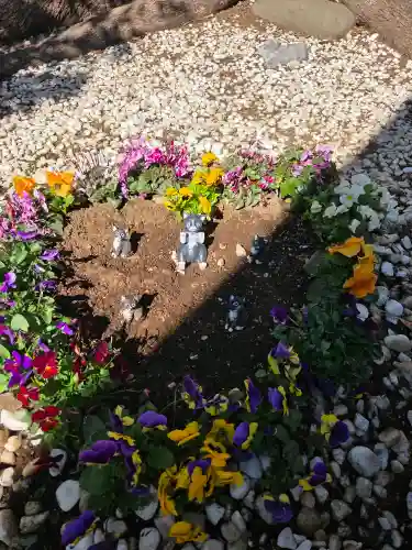 鳩ヶ谷氷川神社の{uncategorized: "未分類", other: "その他", undefined: "問題あり", building: "その他建物", grave: "お墓", sacred_gate: "鳥居", guardian: "狛犬", statue: "像", buddha: "仏像", history: "歴史", nature: "自然", garden: "庭園", animal: "動物", pagoda: "塔", temizu: "手水舎", mountain_gate: "山門・神門", sanctuary: "本殿・本堂", subordinate: "末社・摂社", art: "芸術", scenery: "景色", jizo: "地蔵", ema: "絵馬", goshuin: "御朱印", omikuji: "おみくじ", items: "授与品その他", amulet: "お守り", goshuincho: "御朱印帳", eats: "食事", festival: "お祭り", votive_dance: "神楽", shichigosan: "七五三参", wedding: "結婚式", experience: "体験その他", initially: "初詣", around: "周辺", anti_infection: "感染症対策"}