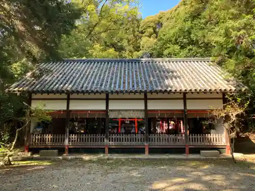 松尾神社の本殿・本堂