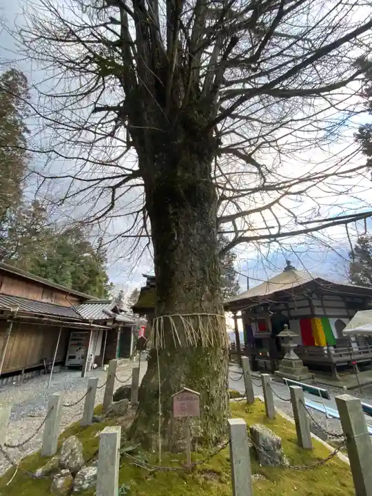 正法寺(滋賀県)