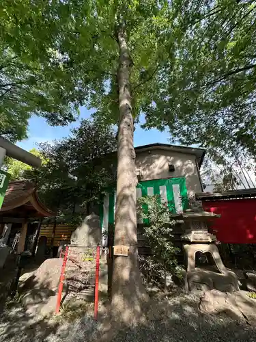田無神社(東京都)