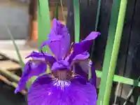 滑川神社 - 仕事と子どもの守り神の自然