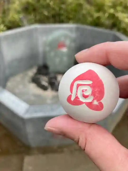 川越八幡宮(埼玉県)