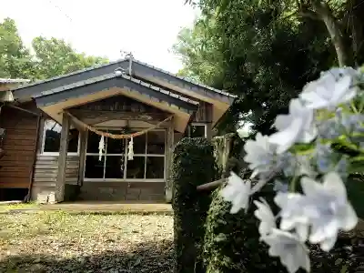 伊比井神社の本殿・本堂