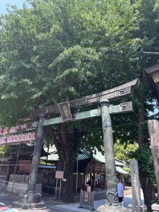 湯島天満宮の{uncategorized: "未分類", other: "その他", undefined: "問題あり", building: "その他建物", grave: "お墓", sacred_gate: "鳥居", guardian: "狛犬", statue: "像", buddha: "仏像", history: "歴史", nature: "自然", garden: "庭園", animal: "動物", pagoda: "塔", temizu: "手水舎", mountain_gate: "山門・神門", sanctuary: "本殿・本堂", subordinate: "末社・摂社", art: "芸術", scenery: "景色", jizo: "地蔵", ema: "絵馬", goshuin: "御朱印", omikuji: "おみくじ", items: "授与品その他", amulet: "お守り", goshuincho: "御朱印帳", eats: "食事", festival: "お祭り", votive_dance: "神楽", shichigosan: "七五三参", wedding: "結婚式", experience: "体験その他", initially: "初詣", around: "周辺", anti_infection: "感染症対策"}